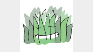 [오늘의 날씨/3월 22일]아기보살이 웃고 있다