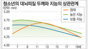 [생생 생물학]뇌신경망, 사춘기까지 왕성하게 발달
