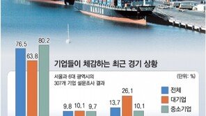 기업 ‘불면’… 정부 ‘불감’… 미래 ‘불안’