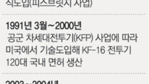 KF-16 50대 수개월 비행중단 불가피