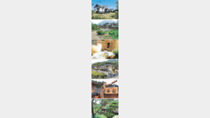 [Life Style]펜션은 지금 ‘테마’로 통한다