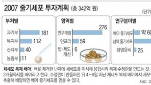 체세포 복제배아연구 제한적 허용