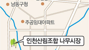 [수도권]“묘목 600종 싸게 팝니다” 인천 수산동에 나무시장