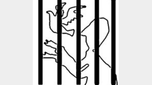 [책갈피 속의 오늘]1916년 ‘버드맨’ 스트라우드, 독방 수감