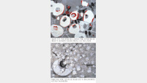 뜯어 보고… 붙여 보고… 그윽한 한지의 美