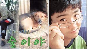 [UCC스타]말 가면 쓰고 코믹 뮤비 찍는 손권태 씨