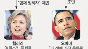 이젠 지우고 싶은 스승, 앨린스키