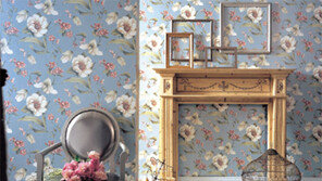 [마이홈]별도 조리대 아일랜드형 부엌… 리모델링 붐