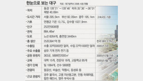 [세계육상선수권 대구 개최]‘찜통도시’에서 ‘육상도시’로