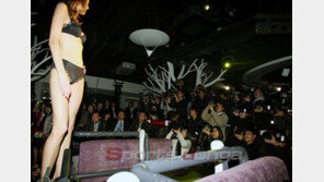 [포토] 언더웨어 모델을 향한 카메라 세례