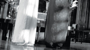 피-비명은 싫다…  ‘빛의 전율’ 기대하세요