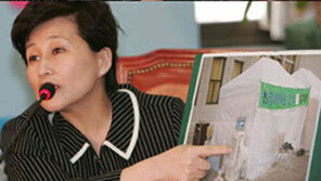 전여옥 “난방기에 외제주전자…金·千 놀러왔어?”