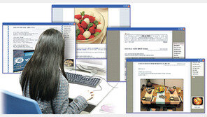 [문화공감]“블로그 한개로는 만족못해”… 주제별 멀티형으로 세분화