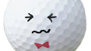 [Biz 골프]싫다,싫어!… 싱글 金부장 매너는 ‘OB’