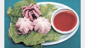 [지금이 제철!]주꾸미…쫄깃한 유혹