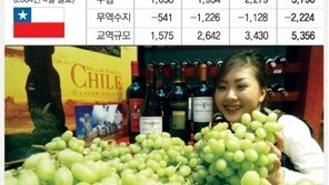 한-칠레 FTA 3년   한국산 수출 年48% 증가