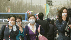 올해 들어 '최악'의 황사 내습… 경보 확대