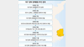 [대구 2011]경제통합 ‘새 추진 동력’ 부푼 꿈