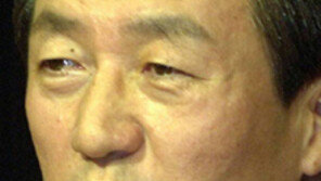 정몽준이 움직인다