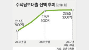 DTI에 묶인 주택대출 제자리걸음