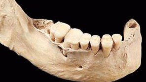 인류 ‘아프리카 기원설’ 바뀌나