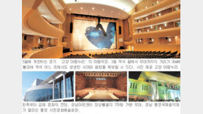 [지방 공연문화가 꽃핀다]<중>대형 공연장 건립 바람