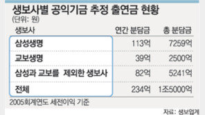 생보사 상장 1호 연말께 나올 듯