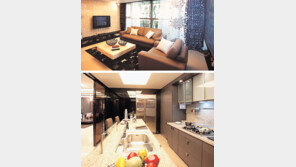 [아파트 미리보기]테라스풍 거실… 한강조망은 ‘덤’