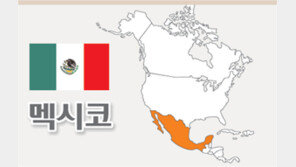 [美-멕시코 FTA]제도개혁-구조조정 안돼 ‘절반의 성공’
