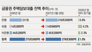 부동산대출 보험사로 몰려