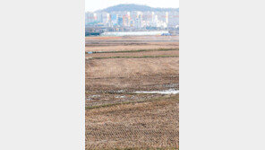 [택지지구 둘러보기]서울 마곡지구