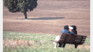 [포토 에세이]듬직한 저 향나무처럼