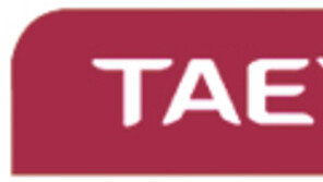 [비즈파일]태영건설, 새 CI 선보여 外