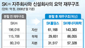SK그룹, 지주회사 체제로 전환