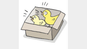 [오늘의 날씨/4월12일]봄이면 학교 앞 노란 병아리가 삐악