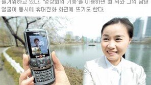 [디지털 세상]“당신을 보여줘”… 화상통화 본격화