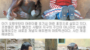[Leisure]체험동물원 탄생…에버랜드‘프렌들리 몽키 밸리’개장