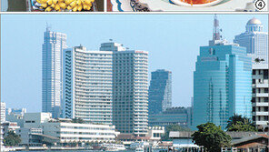 [Travel]싱그러운 과일향 태국의 속살을 보라