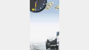 보험사 사업비 ‘선심’ 고객은 보험료 ‘근심’