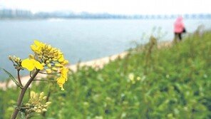 [포토에세이]오랜 기다림 끝에…