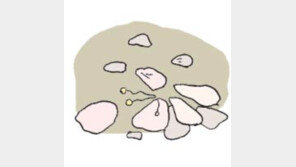 [오늘의 날씨/4월 13일]벚꽃들, 화사함을 뽐내더니…