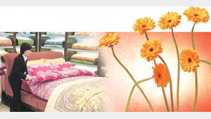 나의 침대로 봄을 초대합니다