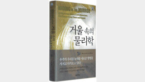 [자연과학]‘4차원 너머의 세계’…‘거울 속의 물리학’