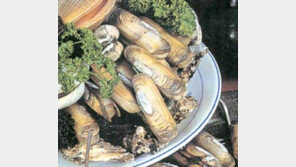 독 오른 봄조개 조심!