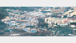 송파신도시, 꿩 대신 닭? 꿩 잡는 매?