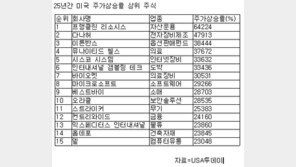 25년간의 '샀더라면 대박' 주식 25종