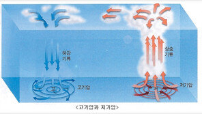 [理知논술/교과서로 논술 잡기]과학영역