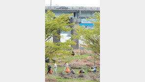 [포토뉴스]서울시 퇴출 후보자들 첫 현장 투입