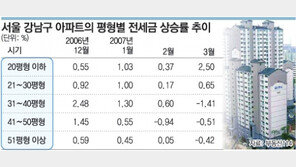 강남 전세 명암… 중소형 오르고 중대형 내리고