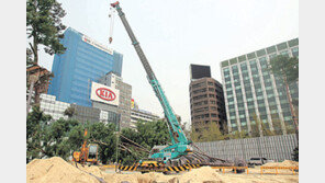 [수도권]서울시청 ‘키다리 소나무’ 48그루 중구로 이사